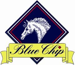 Blue Chip horse feeds