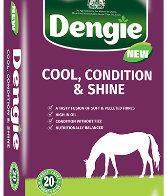 Dengie Cool Condition and Shine